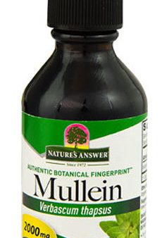 NATURE S ANSWER - Mullein Leaf Extract - 2 fl. oz. (60 ml) Online Hot Sale