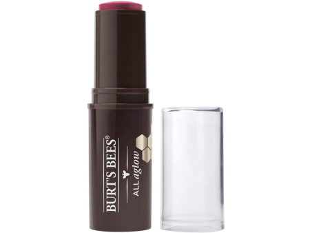 BURT S BEES - All Aglow Lip & Cheek Stick Lilac Lagoon - 0.32 oz. (9 g) Discount