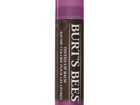 BURT S BEES - Tinted Lip Balm Sweet Violet - 0.15 oz. (4.25 g) on Sale